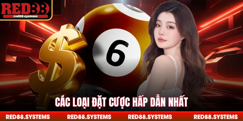 Lô Đề Miền Bắc - Toàn Cảnh Kết Quả Trực Tuyến Trong 2026 Các loại đặt cược hấp dẫn nhất